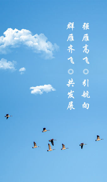 發（fā）展曆（lì）程